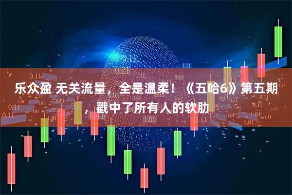 乐众盈 无关流量，全是温柔！《五哈6》第五期，戳中了所有人的软肋
