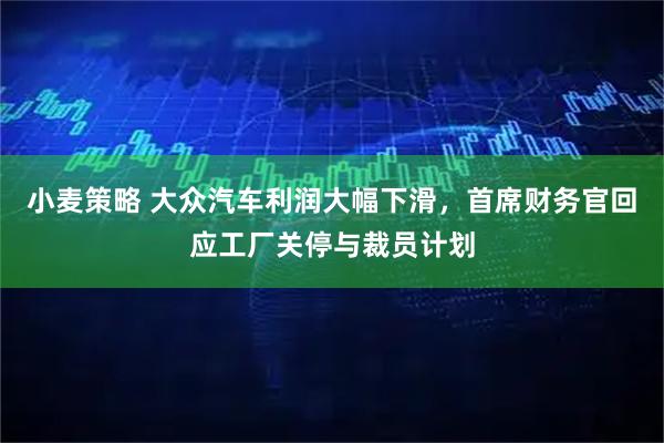 小麦策略 大众汽车利润大幅下滑，首席财务官回应工厂关停与裁员计划
