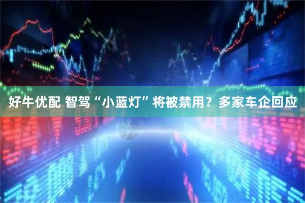 好牛优配 智驾“小蓝灯”将被禁用？多家车企回应